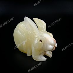 أرنب الرخام